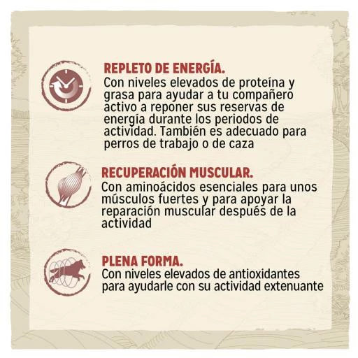 Dog Chow Pienso Active Para Perros Adultos De Pollo 4 Dog Chow Pienso Active Para Perros Adultos De Pollo - Imagen 2