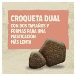 Dog Chow Pienso Active Para Perros Adultos De Pollo 11 Dog Chow Pienso Active Para Perros Adultos De Pollo -Suministros De Mascotas Ventas 2024 7613034487933 4 croqueta 63073317cd8c8 g