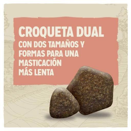 Dog Chow Pienso Active Para Perros Adultos De Pollo 5 Dog Chow Pienso Active Para Perros Adultos De Pollo - Imagen 3