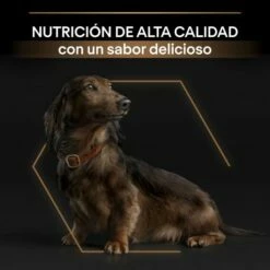 Pro Plan Duo Délice Pequeño De Buey -Suministros De Mascotas Ventas 2024 7613034819758 4 64d4f22dbb16d g
