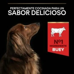 Pro Plan Duo Délice Pequeño De Buey -Suministros De Mascotas Ventas 2024 7613034819758 7 64d4f22dc0292 g