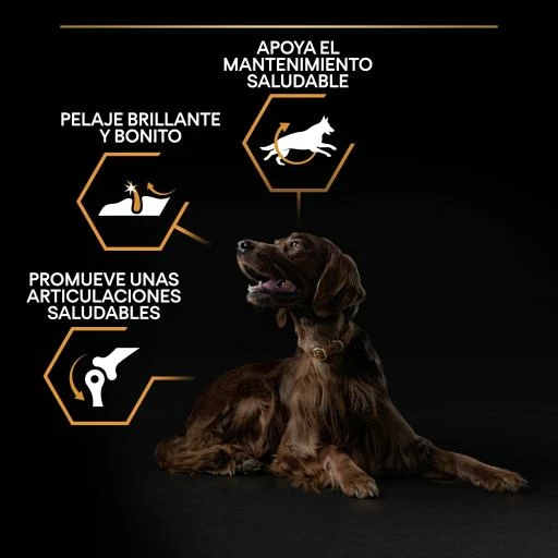 Pro Plan Optibalance Large Athletic Adult Dog De Pollo 5 Pro Plan Optibalance Large Athletic Adult Dog De Pollo - Imagen 3