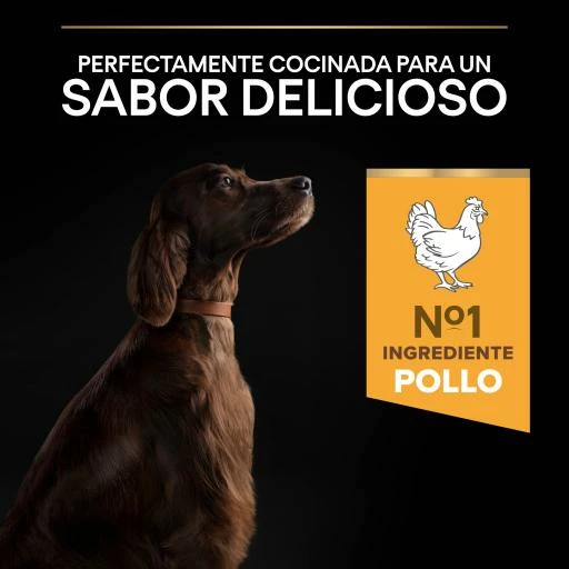Pro Plan Optibalance Large Athletic Adult Dog De Pollo 9 Pro Plan Optibalance Large Athletic Adult Dog De Pollo - Imagen 7