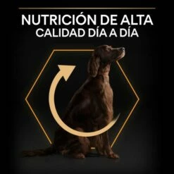 Pro Plan Optibalance Large Athletic Adult Dog De Pollo 19 Pro Plan Optibalance Large Athletic Adult Dog De Pollo -Suministros De Mascotas Ventas 2024 7613035120440 8 64d4ee72ded1f g