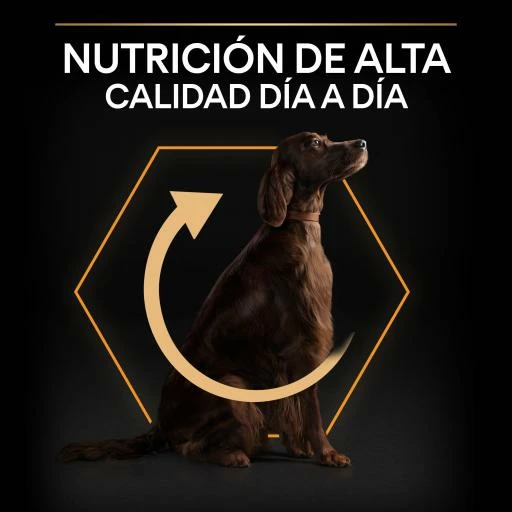 Pro Plan Optibalance Large Athletic Adult Dog De Pollo 10 Pro Plan Optibalance Large Athletic Adult Dog De Pollo - Imagen 8