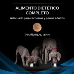 Pro Plan Veterinary Diets Pienso DRM Dermatosis Para Perros -Suministros De Mascotas Ventas 2024 7613035156289 3 636a0c292e51a g