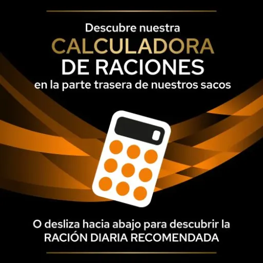 Pro Plan Veterinary Diets Pienso OM Obesity Management ST/OX Para Gatos 9 Pro Plan Veterinary Diets Pienso OM Obesity Management ST/OX Para Gatos - Imagen 7