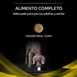 Pro Plan Veterinary Diets Pienso Nc Neurocare Para Perros Adultos Y Sénior 14 Pro Plan Veterinary Diets Pienso Nc Neurocare Para Perros Adultos Y Sénior -Suministros De Mascotas Ventas 2024 7613036678247 3 636a0e5864eb0 g