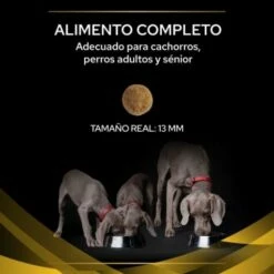 Pro Plan Veterinary Diets Pienso JM Joint Mobility Para Perros 16 Pro Plan Veterinary Diets Pienso JM Joint Mobility Para Perros -Suministros De Mascotas Ventas 2024 7613036678346 3 636a076663720 g