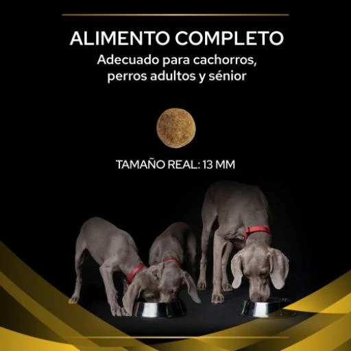 Pro Plan Veterinary Diets Pienso JM Joint Mobility Para Perros 6 Pro Plan Veterinary Diets Pienso JM Joint Mobility Para Perros - Imagen 4
