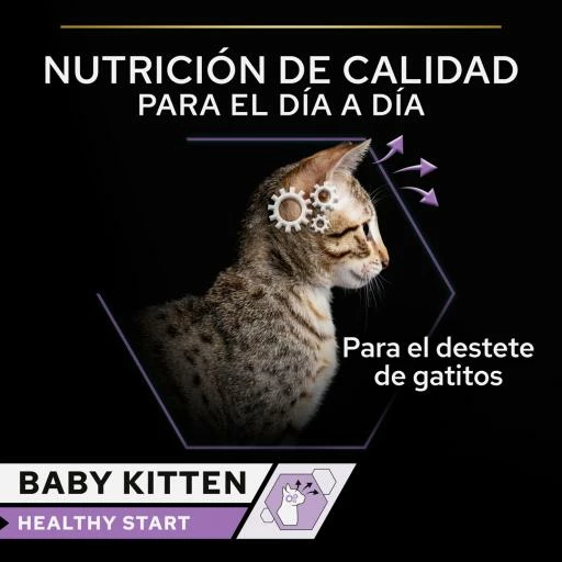Pack 24 Pro Plan Baby Kitten De Pollo 5 Pack 24 Pro Plan Baby Kitten De Pollo - Imagen 3