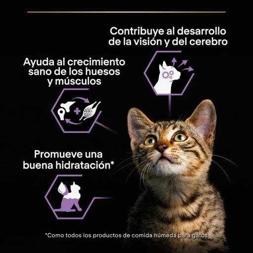 Pack 24 Pro Plan Baby Kitten De Pollo 6 Pack 24 Pro Plan Baby Kitten De Pollo - Imagen 4