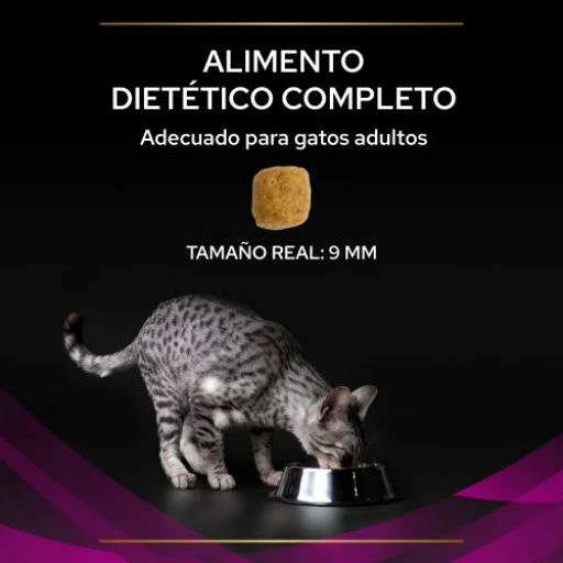 Pro Plan Veterinary Diets Pienso UR Urinary ST/OX Para Gatos 6 Pro Plan Veterinary Diets Pienso UR Urinary ST/OX Para Gatos - Imagen 4