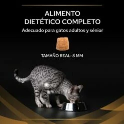 Pro Plan Veterinary Diets Pienso NF Renal Function Para Gatos -Suministros De Mascotas Ventas 2024 7613287886347 4 636a0a1977dca g