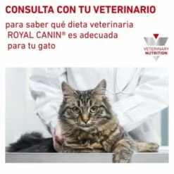 Royal Canin Comida Húmeda Sensitivity Control Feline Pollo Y Arroz -Suministros De Mascotas Ventas 2024 774497 6270efdc94328 g