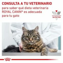 Royal Canin Early Renal -Suministros De Mascotas Ventas 2024 778006 6267f1100c730 g