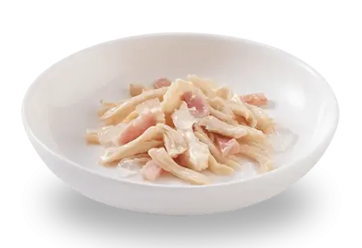 Pack 24 Schesir Comida Húmeda De Pollo Con Jamón Para Gatos 4 Pack 24 Schesir Comida Húmeda De Pollo Con Jamón Para Gatos - Imagen 2