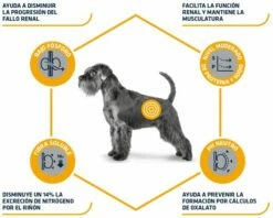 Advance Pienso Renal Para Perro Adulto -Suministros De Mascotas Ventas 2024 82717 3 3 g