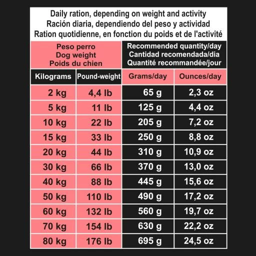 Arquivet Pienso Para Perros Grain Free Salmon Y Atun 8 Arquivet Pienso Para Perros Grain Free Salmon Y Atun - Imagen 6