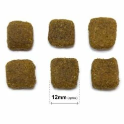 Arquivet Dog Original Adulto Cordero Y Arroz -Suministros De Mascotas Ventas 2024 8435117892774 3 g