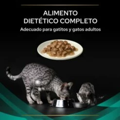 Pro Plan Veterinary Diets Comida Húmeda EN Gastrointestinal ST/OX Trocitos En Salsa De Pollo -Suministros De Mascotas Ventas 2024 8445290046079 4 636a08b8e2ea0 g