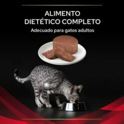 Pack 24 Pro Plan Veterinary Diets Comida Húmeda Mousse DM Diabetes Management ST/OX 15 Pack 24 Pro Plan Veterinary Diets Comida Húmeda Mousse DM Diabetes Management ST/OX -Suministros De Mascotas Ventas 2024 8445290092960 3 63690af50f14a g