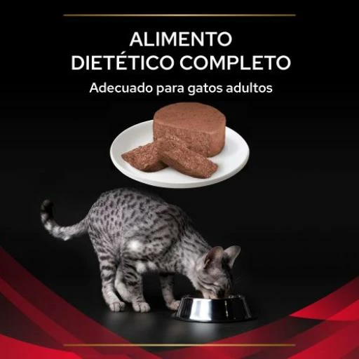 Pack 24 Pro Plan Veterinary Diets Comida Húmeda Mousse DM Diabetes Management ST/OX 5 Pack 24 Pro Plan Veterinary Diets Comida Húmeda Mousse DM Diabetes Management ST/OX - Imagen 3