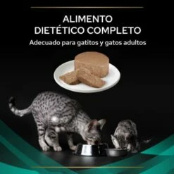 Pack 24 Pro Plan Veterinary Diets Comida Húmeda Mousse EN Gastrointestinal ST/OX -Suministros De Mascotas Ventas 2024 8445290093004 3 63690a47f1a70 g