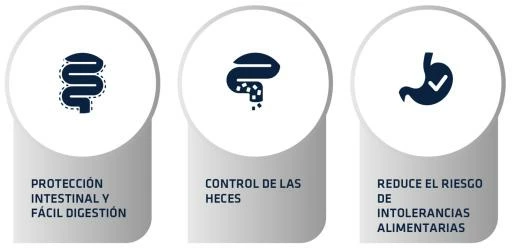 Advance Pienso Gastroenteric Sensitive Para Gato 6 Advance Pienso Gastroenteric Sensitive Para Gato - Imagen 4