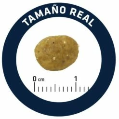 Advance Pienso Gastroenteric Sensitive Para Gato 15 Advance Pienso Gastroenteric Sensitive Para Gato -Suministros De Mascotas Ventas 2024 85801 5 5 g