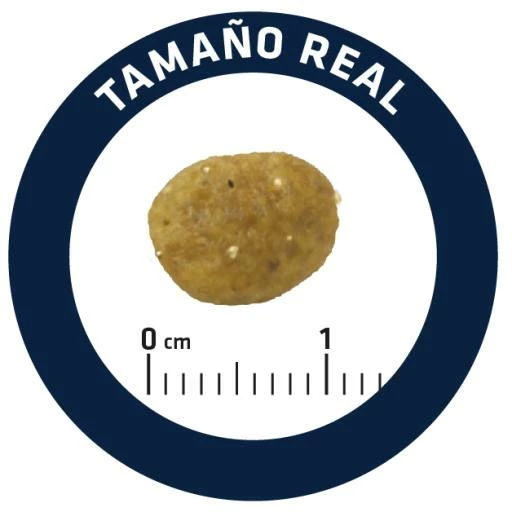 Advance Pienso Gastroenteric Sensitive Para Gato 7 Advance Pienso Gastroenteric Sensitive Para Gato - Imagen 5