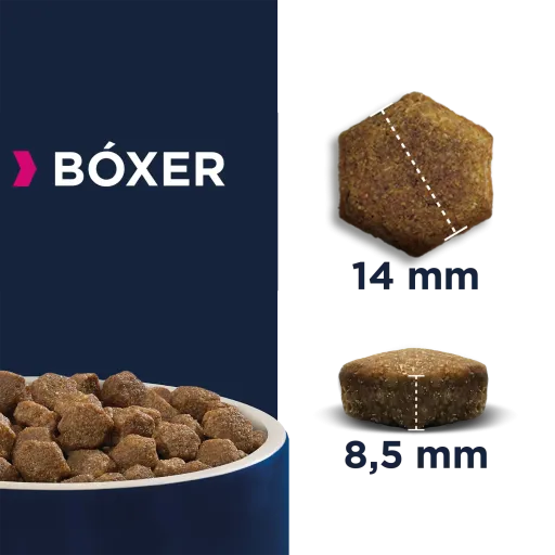 Eukanuba Pienso Para Bóxer Adulto 4 Eukanuba Pienso Para Bóxer Adulto - Imagen 2