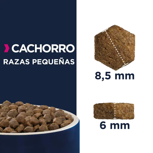 Eukanuba Pienso Para Cachorros De Razas Pequeñas Con Pollo 4 Eukanuba Pienso Para Cachorros De Razas Pequeñas Con Pollo - Imagen 2