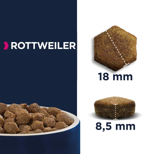 Eukanuba Pienso Para Rottweiler Adulto 4 Eukanuba Pienso Para Rottweiler Adulto - Imagen 2