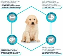 Advance Pienso Puppy Pollo Y Arroz Para Cachorros Raza Grande -Suministros De Mascotas Ventas 2024 88082 3 3 g