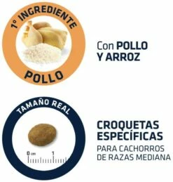 Advance Pienso De Pollo Y Arroz Para Cachorro De Raza Mediana 11 Advance Pienso De Pollo Y Arroz Para Cachorro De Raza Mediana -Suministros De Mascotas Ventas 2024 95246 4 4 g