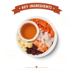 Lily's Kitchen Pienso Fiesta Del Pescador Para Gatos -Suministros De Mascotas Ventas 2024 BCDFF 2 62d1855a3018f g