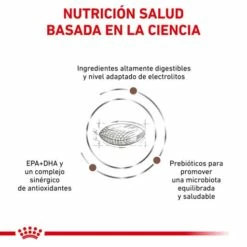 Royal Canin Pienso Gastrointestinal Low Fat 22 Para Perro -Suministros De Mascotas Ventas 2024 BENEFICIOS 1 62fcc1db32600 g