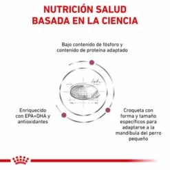Royal Canin Renal Small Dogs 14 Royal Canin Renal Small Dogs -Suministros De Mascotas Ventas 2024 BENEFICIOS 1 62fcca7491bec g