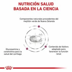 Royal Canin Pienso Mobility Para Gato 13 Royal Canin Pienso Mobility Para Gato -Suministros De Mascotas Ventas 2024 BENEFICIOS 1 62fce5ad5310f g