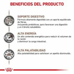Royal Canin Pienso Gastrointestinal 25 Para Perro -Suministros De Mascotas Ventas 2024 BENEFICIOS 2 62fcc16058325 g