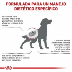 Royal Canin Pienso Renal Canine -Suministros De Mascotas Ventas 2024 BENEFICIOS 2 62fcca574dfa0 g