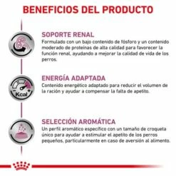 Royal Canin Renal Small Dogs 15 Royal Canin Renal Small Dogs -Suministros De Mascotas Ventas 2024 BENEFICIOS 2 62fcca75a99b3 g