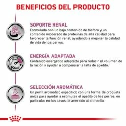 Royal Canin Pienso Renal Special Canine 17 Royal Canin Pienso Renal Special Canine -Suministros De Mascotas Ventas 2024 BENEFICIOS 2 62fccb1793c5c g