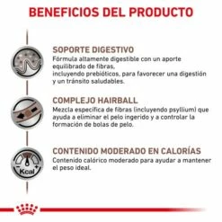 Royal Canin Gastrointestinal Hairball Feline -Suministros De Mascotas Ventas 2024 BENEFICIOS 2 62fce0de79448 g