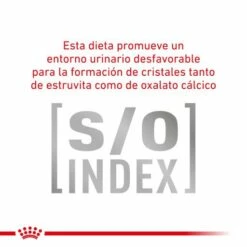 Royal Canin Gastrointestinal Hairball Feline -Suministros De Mascotas Ventas 2024 BENEFICIOS 3 62fce0df7d200 g