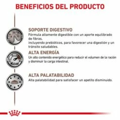 Royal Canin Comida Húmeda Gastro Intestinal Canine 14 Royal Canin Comida Húmeda Gastro Intestinal Canine -Suministros De Mascotas Ventas 2024 BENEFICIOS 62fcc277bd626 g