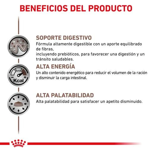 Royal Canin Comida Húmeda Gastro Intestinal Canine 8 Royal Canin Comida Húmeda Gastro Intestinal Canine - Imagen 6