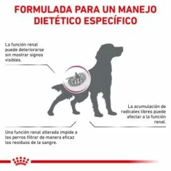 Royal Canin Pienso Early Renal Para Perro -Suministros De Mascotas Ventas 2024 BENEFICIOS 62fcc9e37311f g