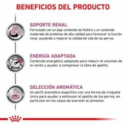 Royal Canin Pienso Renal Canine -Suministros De Mascotas Ventas 2024 BENEFICIOS 62fcca5888f2f g
